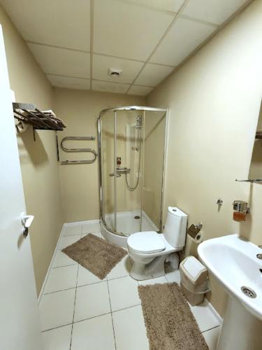 Solo studio, Birštonas (Foto 9)
