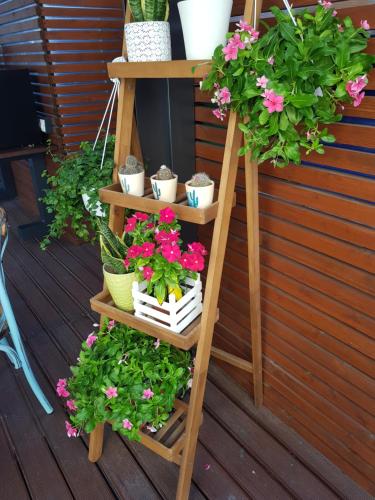 La Terrazza di Carolina 3
