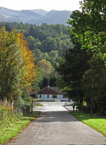 Distant Hills Guest House - image 3