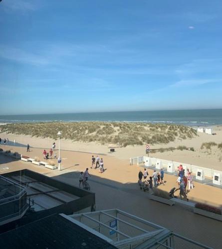 Skats, Studio zeezicht Nieuwpoort in Ņūport-Bada