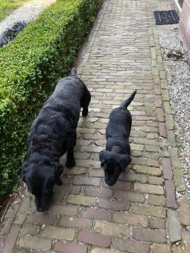  B&B Be Our Guest in Sint Maarten