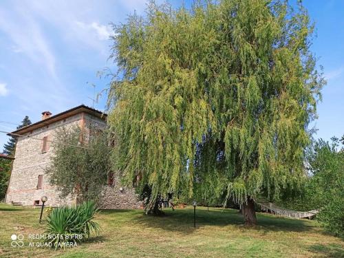 BIO Tuscan Farmhouse by the river, peaceful place