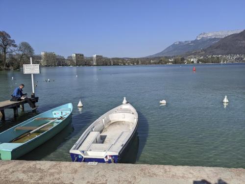 Cocon Annécien entre lac et montagne classé 1 étoile