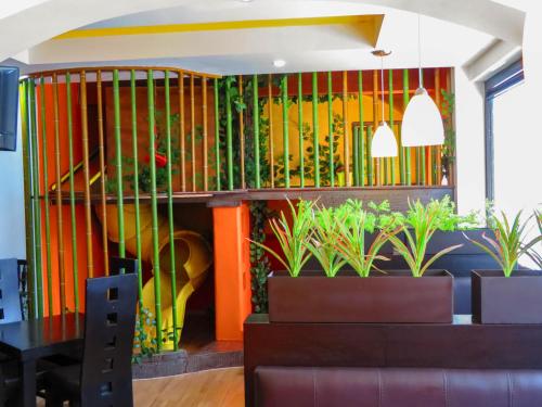 ห้องอาหาร, เอล เรลิการิโอ (El Relicario) in โดโลเรส อิดัลโก