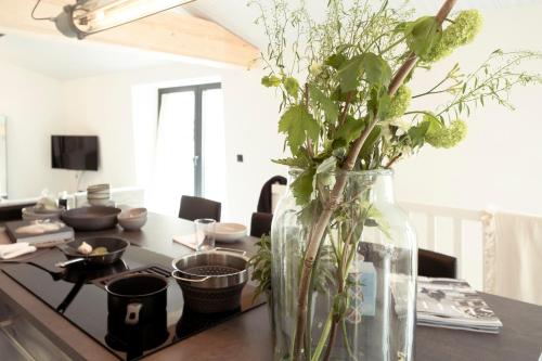 Appartementen Zer en Loft in centrum Bergen in Bergen-Centrum