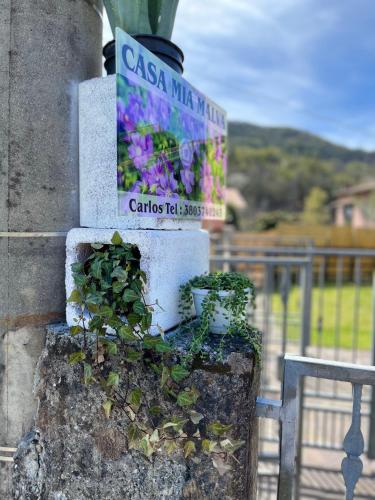 CASA MIA MALVA - Apartment - Riccò del Golfo di Spezia