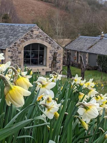 Woodmill Arches - Designer Barn Conversion for Two