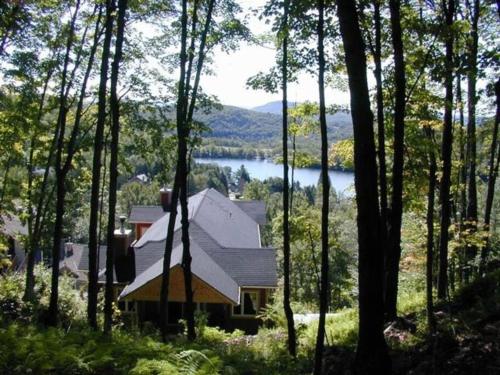 Gorgeous Peaceful Cottage on the Forest