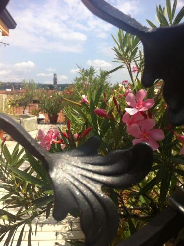 Alla Terrazza Apartment - image 10