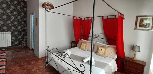 Il Ramingo
