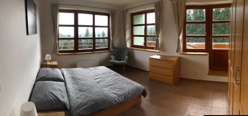 Cihlarka 301, Černý Důl (foto 5)