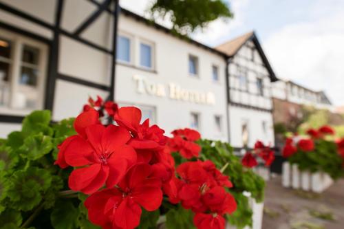 Tor Hotel