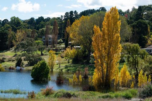 Lake Villavista