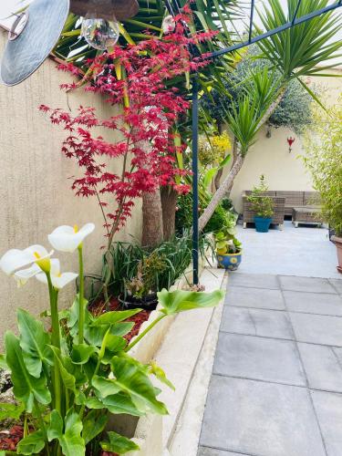 Agréable maison cœur de village climatisée - wifi gîte à louer Lunel