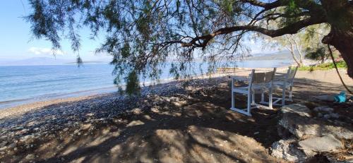 Vikos Beach Apartments