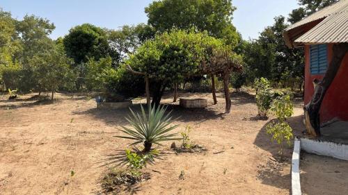 Campement & Centre artistique Tilyboo in 卡豐廷