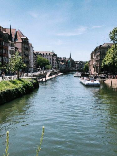 Gite Terre d'Helene 3 étoiles wifi, paisible, proche Strasbourg et commerces, animaux acceptés