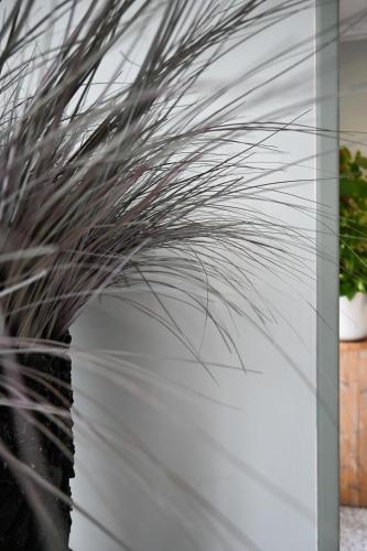 Hotel Doña Catalina - image 7