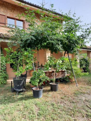 Kert, Glamping Marche Nascoste Tenda e intero alloggio in Penna San Giovanni