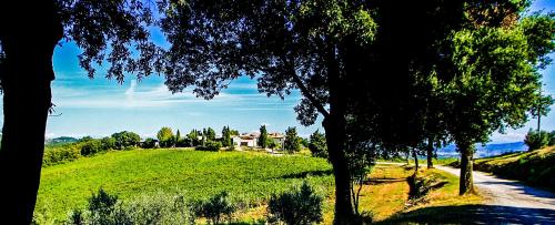 Fattoria La Torre - Tap to explore photos