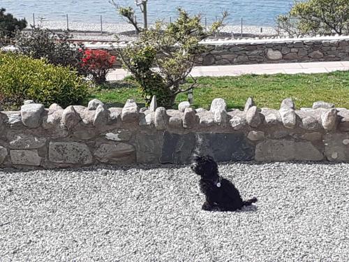 Picture of Talarfor Barmouth
