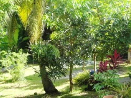 정원, Spacious apartment with sea view in Bandrele, 170 m². in 시롱기