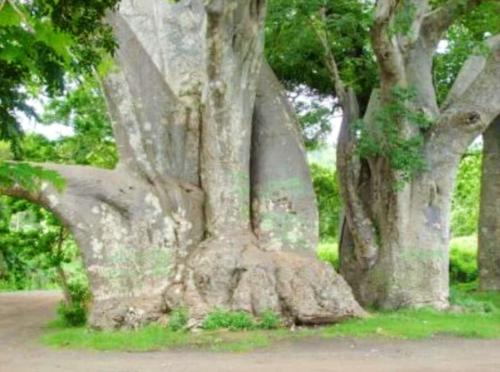 전망, Spacious apartment in Bandrele with terrace, BBQ in 시롱기