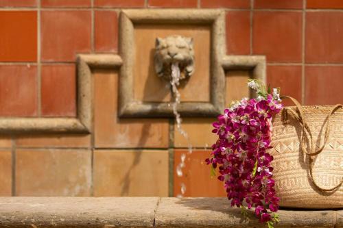 Casa Caribe at Las Casitas Village - image 10