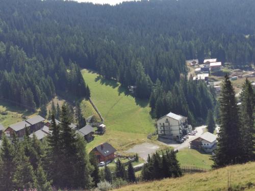 Alpengasthof Tanzstatt - image 2