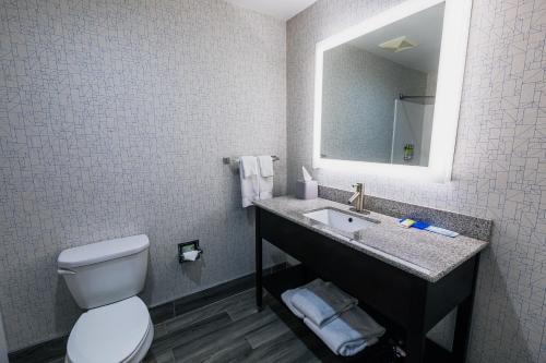 Holiday Inn Express Hotel & Suites Hamburg by IHG in Hamburg, USA