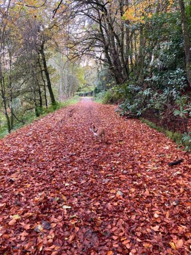 Balmridge House, Loch Ness, Bed & Breakfast