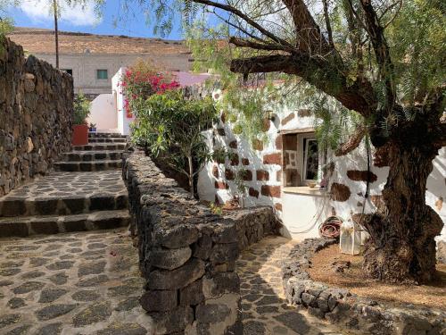 Pemandangan luar, Centro Ave Fénix (Centro Ave Fenix) in Femes