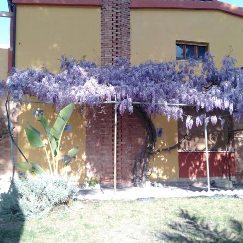 Villa Serra piano terra gîte à louer Sant'Andrea