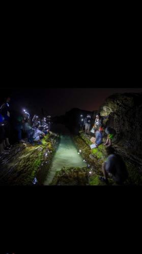  Coqueto Dúplex con dos terrazas y piscina cerca de la playa de la Virgen del Mar in 39005 Santander