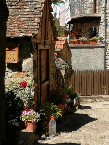 APARTAMENTO CASA PALOMA in Ansó