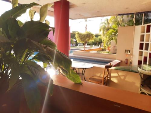Hotel Quinta Loriffe in Cuautla Morelos, Mexico