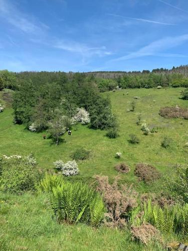 Cosy, dog friendly house on the fringe of the Brecon Beacons