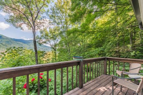 Bella Vista - Hot Tub and Pet Friendly in Maggie Valley, USA