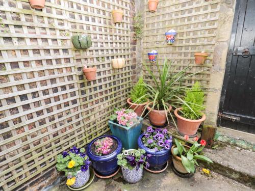 Coquet Cottage Amble - image 10