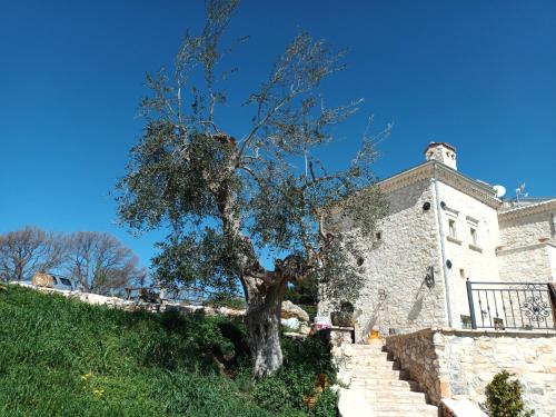 Villa tra gli Ulivi gîte à louer San Menaio
