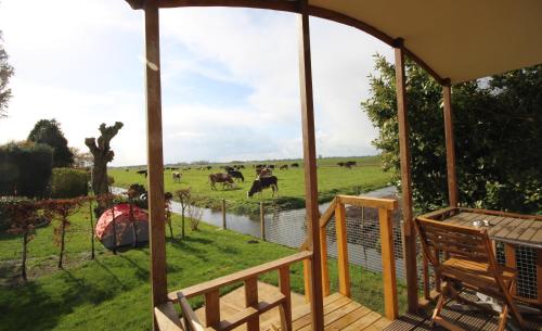 Viesnīcas āriene, Camping De Grienduil in Zederik