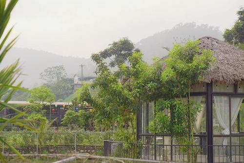 Trang Trại Gia Trịnh - 정원