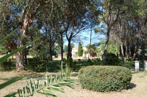Private Villas Puerto Pollensa - image 10