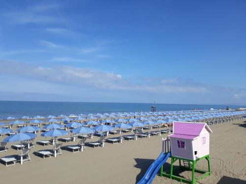 Luisa bilocale con giardino