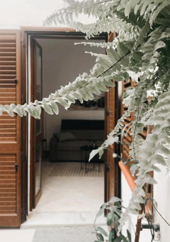 La Casa Di Maya - Spiaggia di Cala Grande