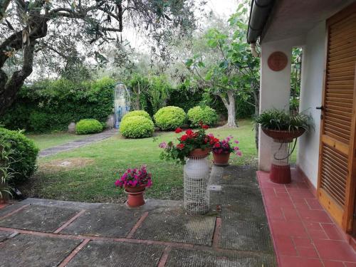 Villa Brezza gîte à louer Altavilla Silentina