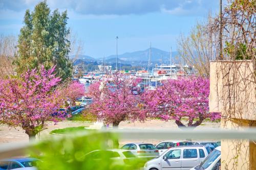 Casa Spilia Corfu Town