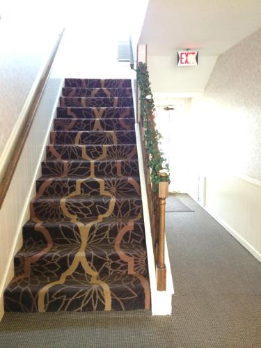 Island Inn - image 13
