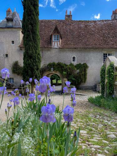 Château de Nazelles Amboise