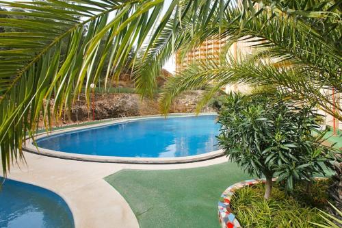  Viena apartment with pool in Benidorm, Pension in Benidorm